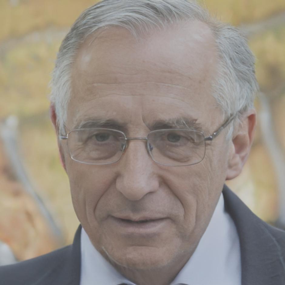 Consultor financeiro especializado em gestão de dívidas